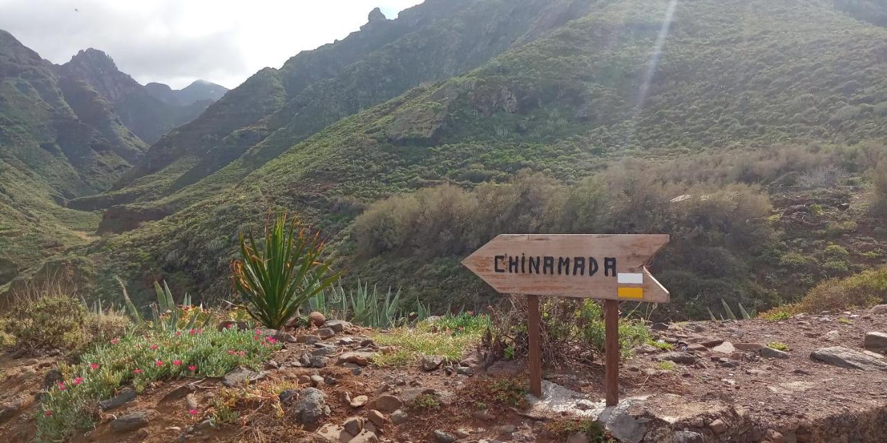 Estudio - Descanso Y Bienestar En La Punta بونتا ديل هيدالغو المظهر الخارجي الصورة