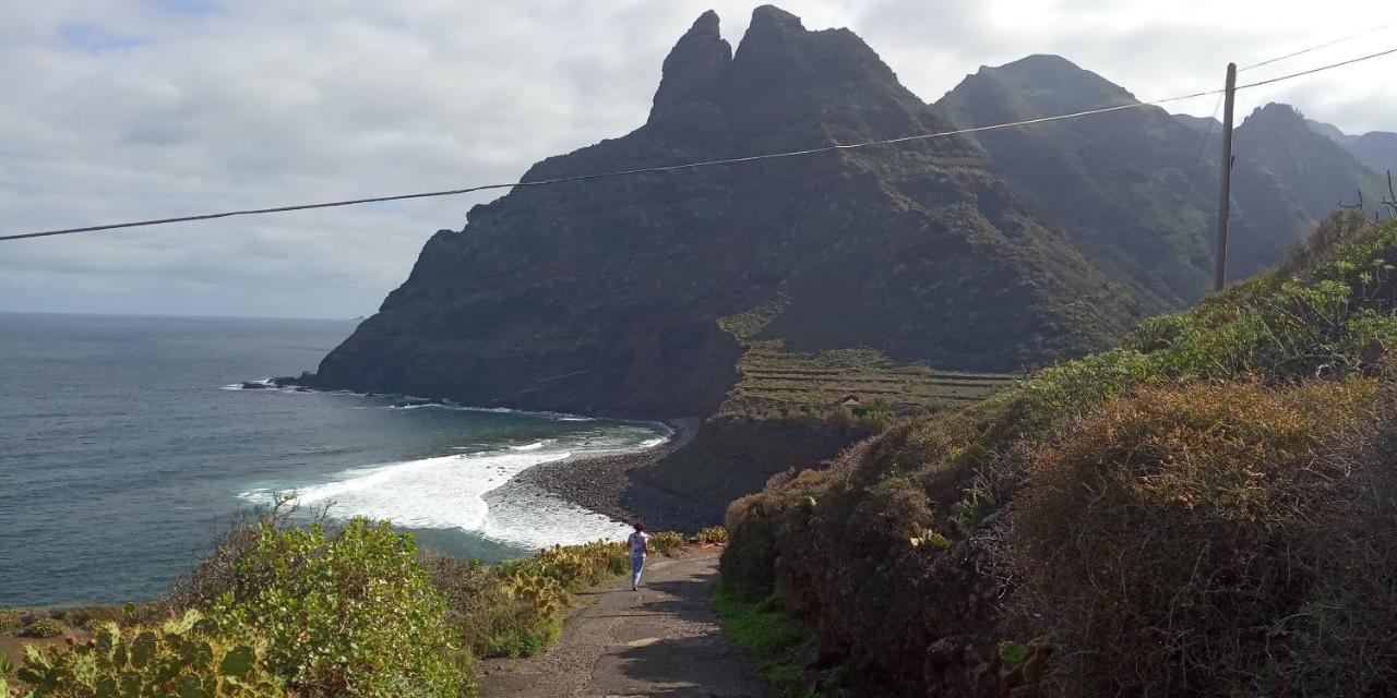 Estudio - Descanso Y Bienestar En La Punta بونتا ديل هيدالغو المظهر الخارجي الصورة